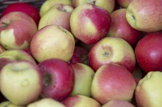 Responsables pour moitié de ce coût sanitaire: une alimentation pauvre en céréales complètes (au profit de produits raffinés, un phénomène généralisé sauf dans certains pays africains ou en Inde), des régimes pauvres en fruits (ce qui concerne tout le globe), et des régimes riches en sel. KEYSTONE/URS FLUEELER
